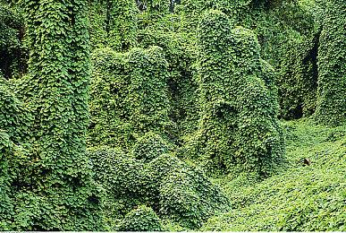 放置挂机游戏《骑士娘物语》Steam页面开放 年内发售