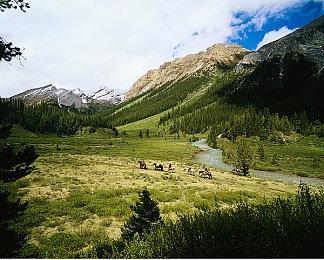 《暗黑破坏神4》中文预告 周末免费体验暗黑地狱世界